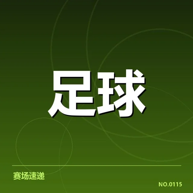 中甲球场建设：政府投资与企业合作存在哪些疑问
